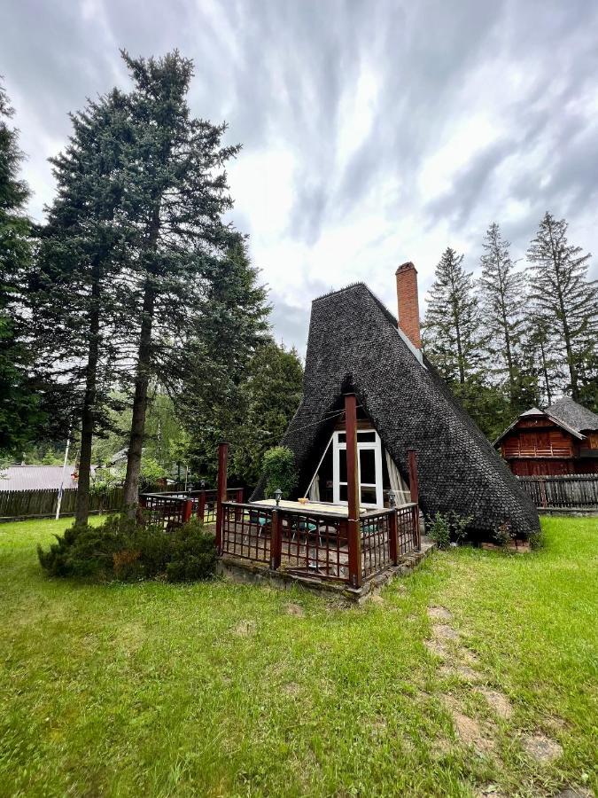 Mountain Getaway Cabin Cheia  Exterior photo