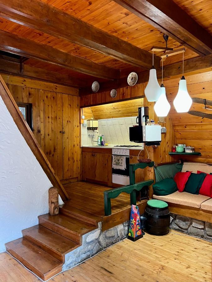 Mountain Getaway Cabin Cheia  Exterior photo